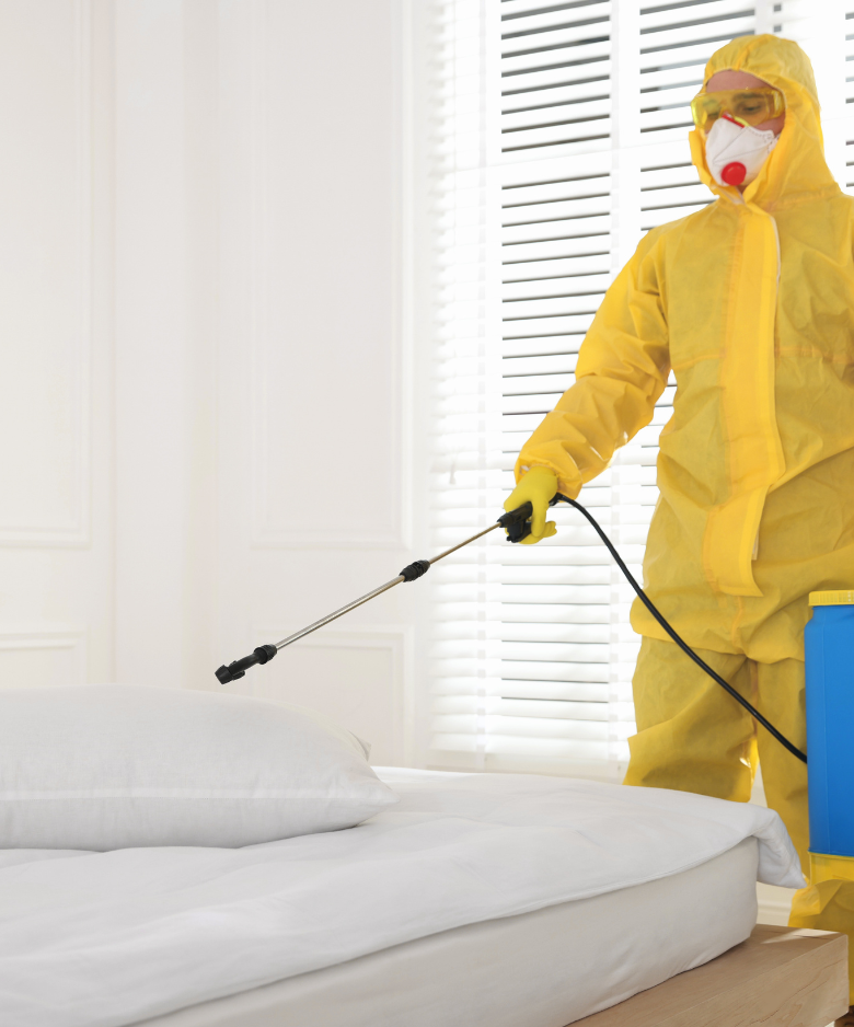 Professional Pest Control Team in Lenswood